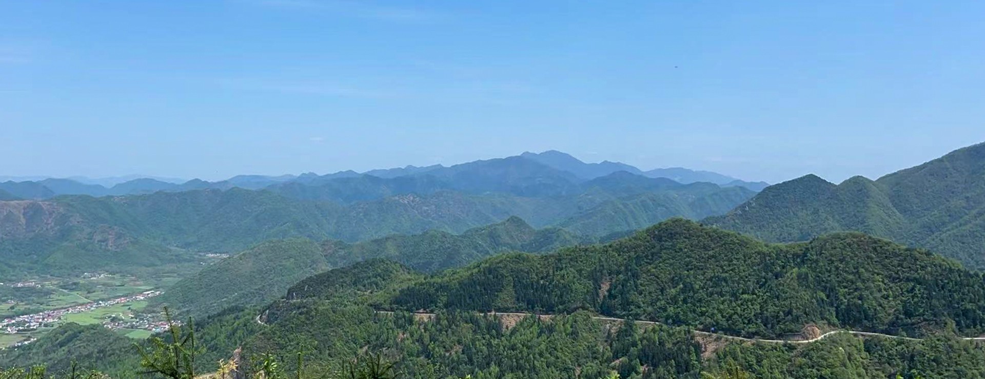 東至縣國家儲備林項目